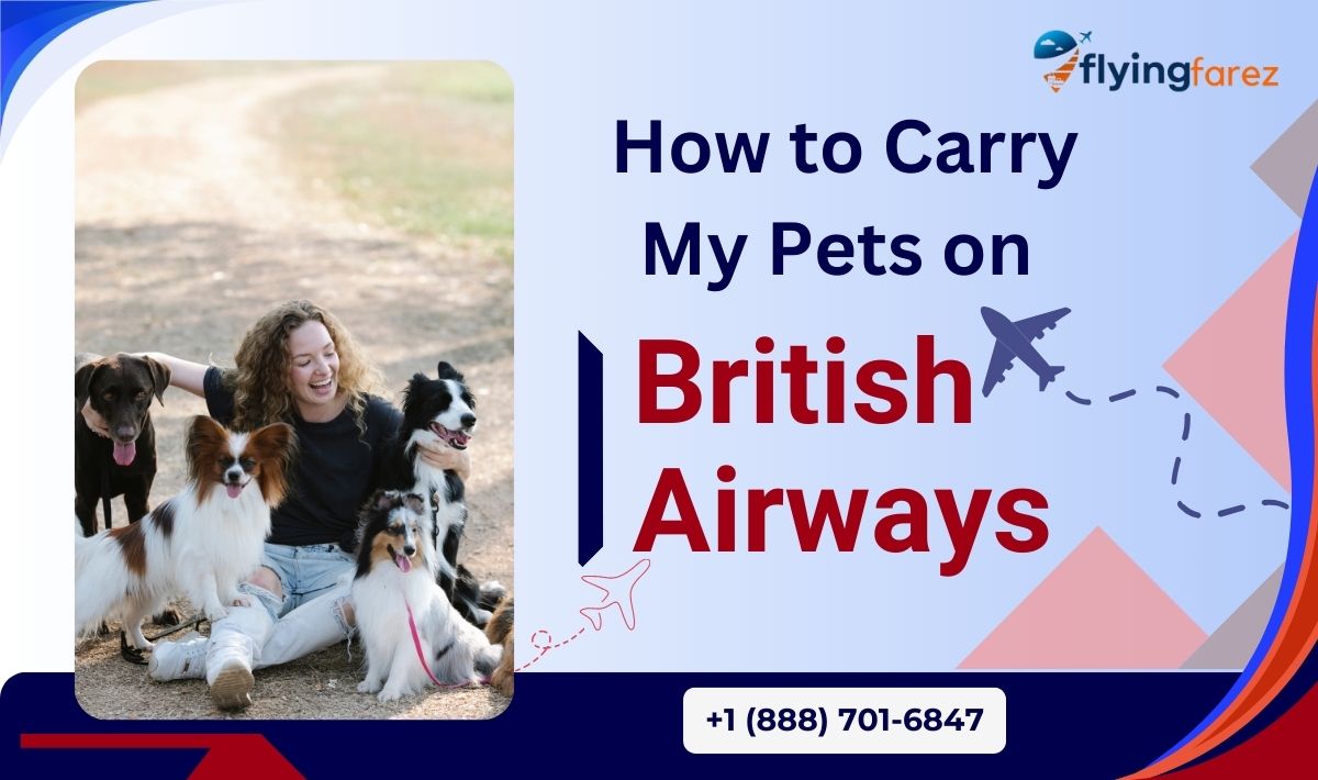 How to Carry My Pets on British Airways?