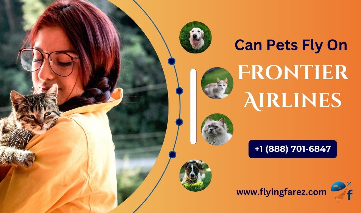 Can Pets Fly On Frontier Airlines