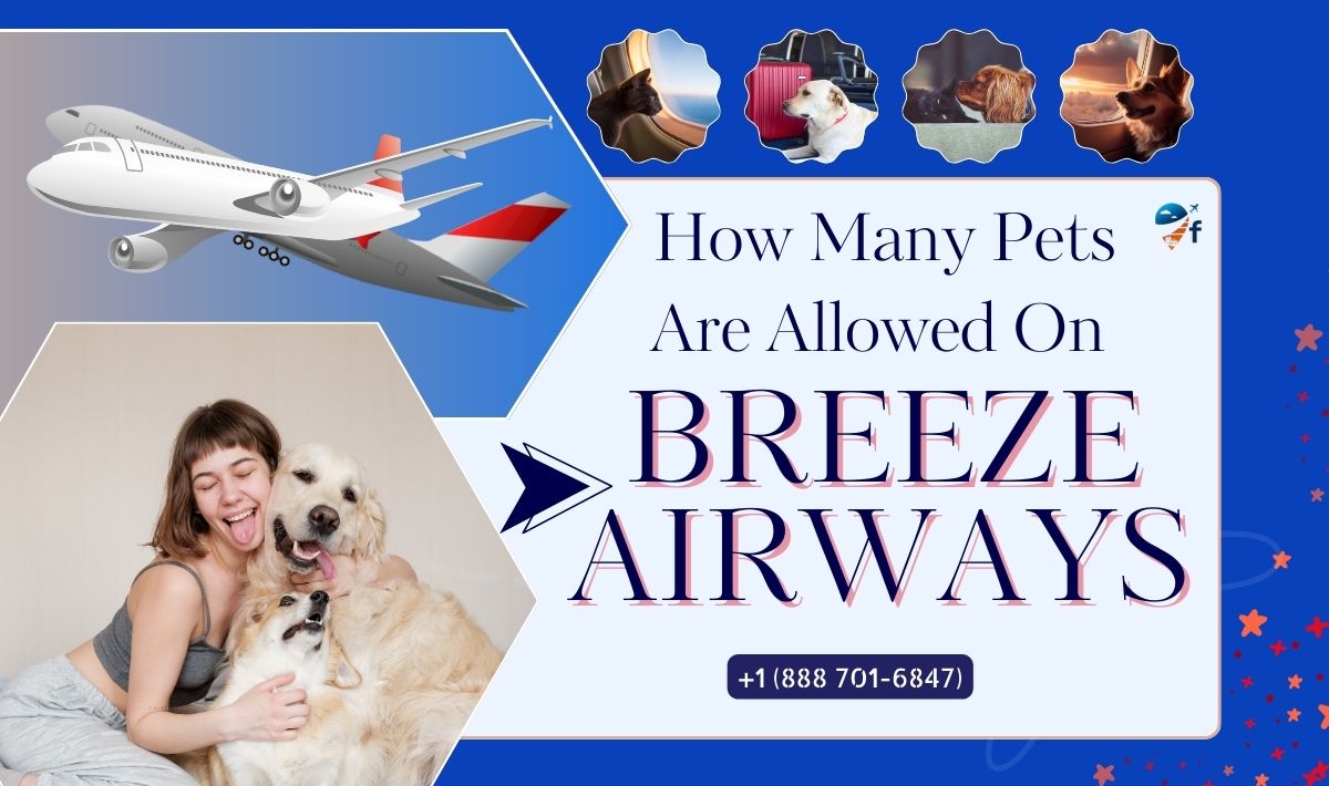 How Many Pets Are Allowed On Breeze Airways?