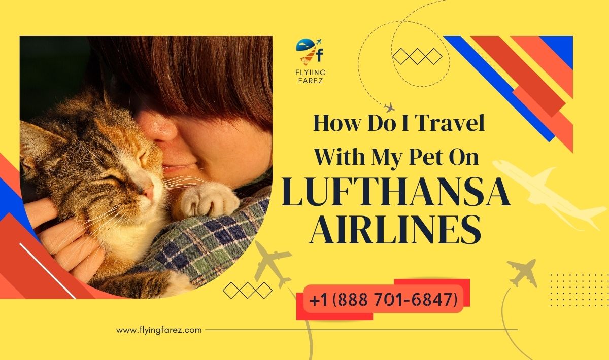 How Do I Travel With My Pet On Lufthansa Airlines?