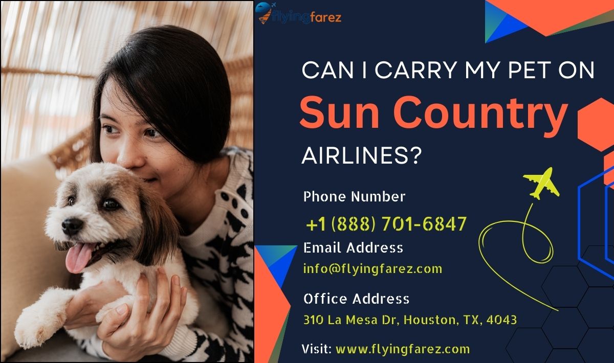 Can I Carry My Pet On Sun Country Airlines?