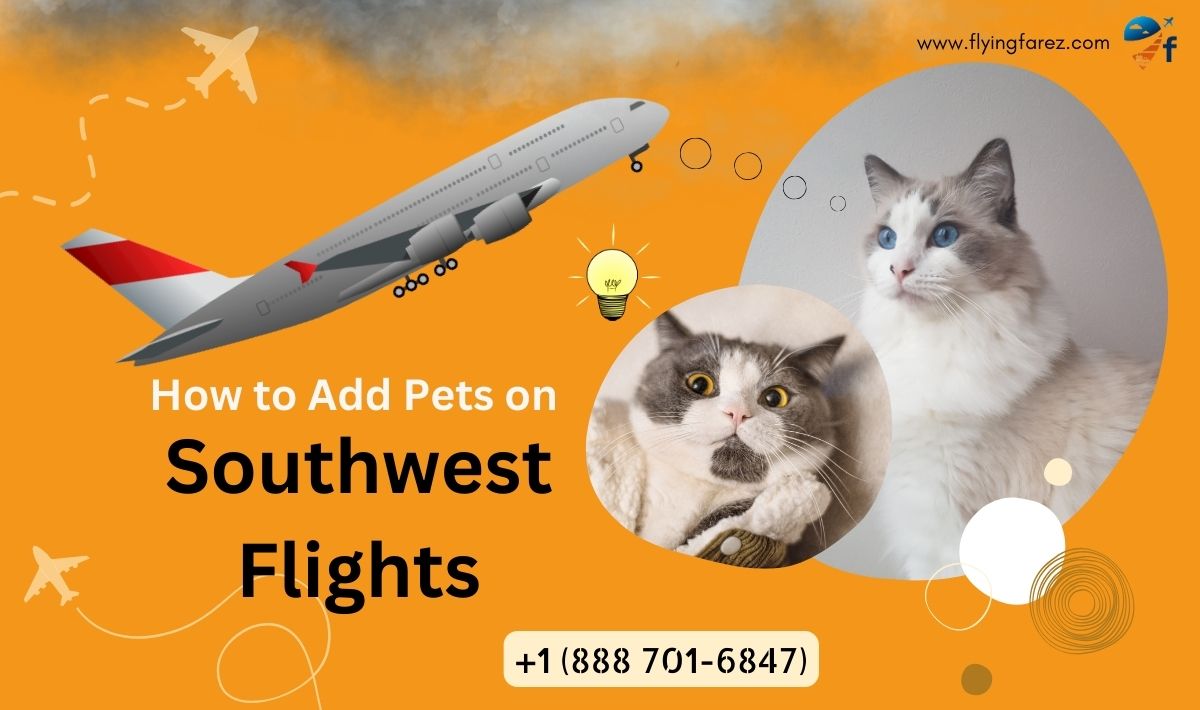 How to Add Pets on Southwest Flights?