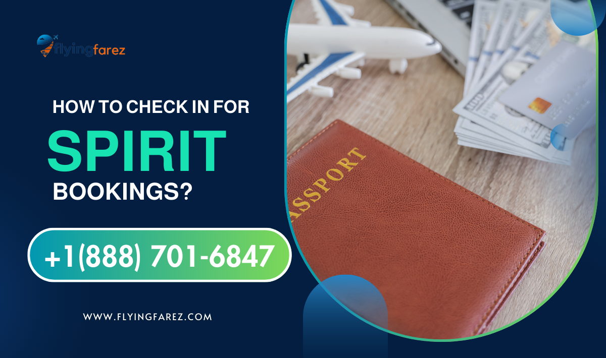 How to check in for Spirit bookings? 